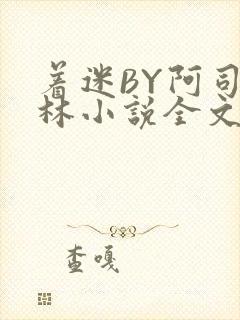 着迷BY阿司匹林小说全文免费阅读