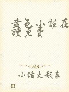 黄色小说在线阅读免费