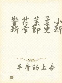 警花叶柔小说最新章节更新