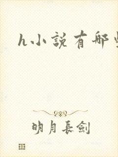 h小说有哪些封面