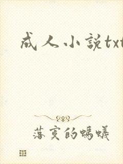 成人小说txt封面