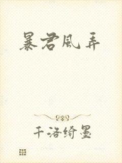 暴君风弄封面