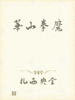 华山拳魔封面