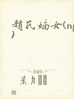赵氏嫡女(np)