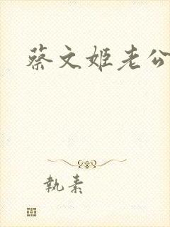 蔡文姬老公封面