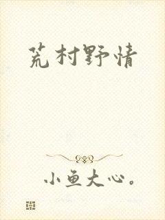 荒村野情封面