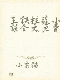 王铁柱苏小汐小说全文免费阅读最新章节封面