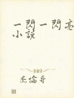 一闪一闪亮星星小说