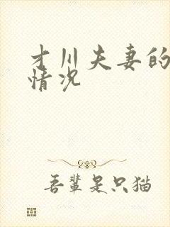 才川夫妻的恋爱情况