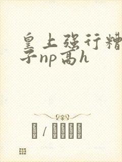 皇上强行糟蹋太子np高h封面