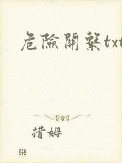 危险关系txt封面