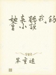 她来听我的演唱会小说