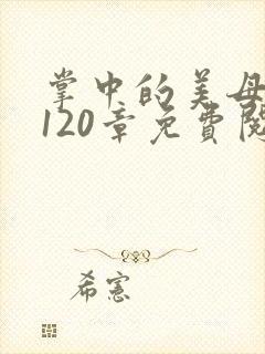 掌中的美母版主120章免费阅读