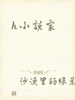 h小说家