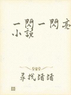 一闪一闪亮星星小说