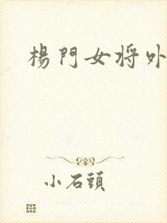 杨门女将外传封面