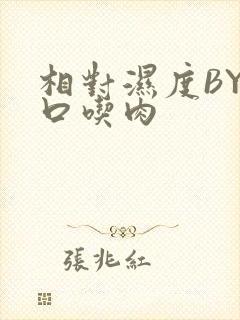 相对湿度BY大口吃肉