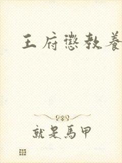 王府惩教养日常