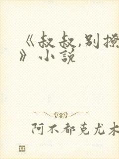 《叔叔,别撩我》小说