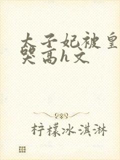 太子妃被皇上c哭高h文