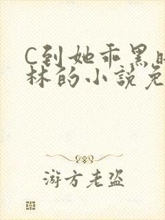 C到她乖黑暗森林的小说免费