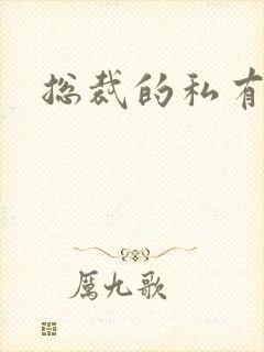 总裁的私有宝贝