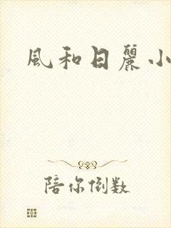 风和日丽小说