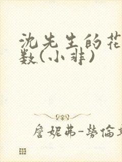 沈先生的花式调数(小非)