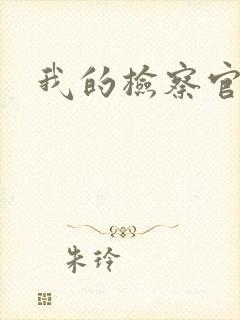 我的检察官先生