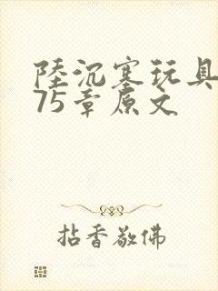 陆沉塞玩具高速75章原文