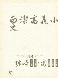 白洁高义小说全文