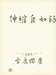 伸缩自如的爱封面