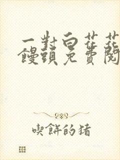 一对白花花的大馒头免费阅读