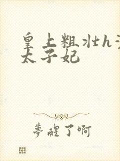 皇上粗壮h灌满太子妃封面