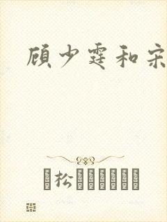 顾少霆和宋斯曼