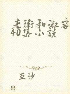 老卫和淑容1-40集小说封面