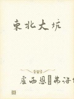 东北大坑封面