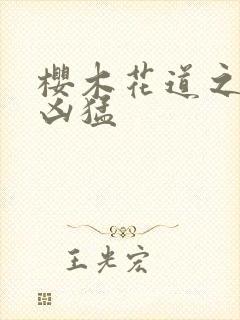 樱木花道之重生凶猛