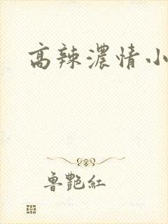 高辣浓情小说