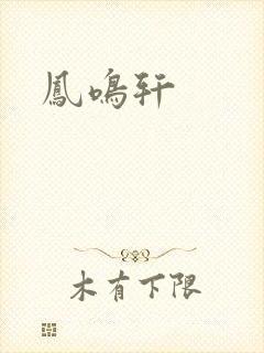 凤鸣轩封面