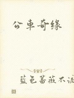 公车奇缘封面