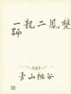 一龙二凤双飞老师