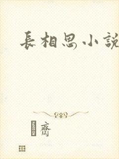 长相思小说原著