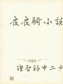 夜夜骑小说
