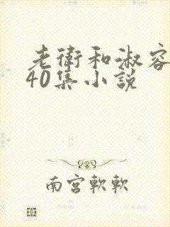 老卫和淑容1-40集小说