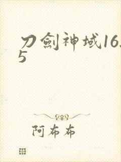 刀剑神域16.5