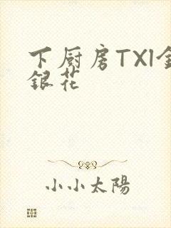 下厨房TXl金银花封面