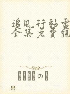 追风行动电视剧全集免费观看