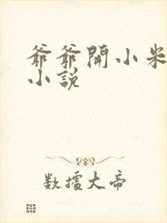 爷爷开小米的包小说