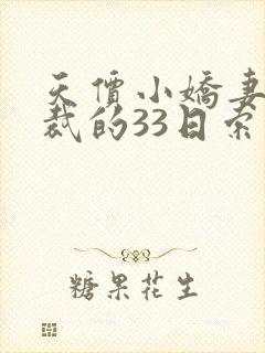 天价小娇妻,总裁的33日索情全文免费封面